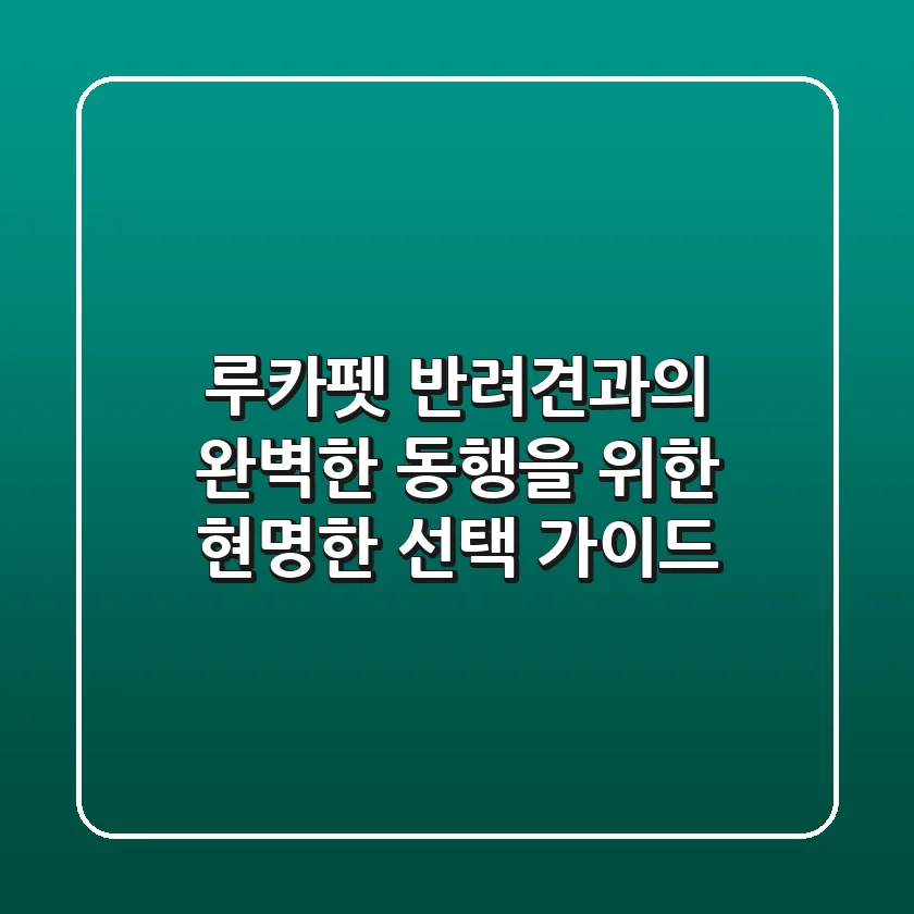 루카펫, 반려견과의 완벽한 동행을 위한 현명한 선택 가이드