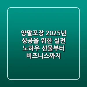 양말포장, 2025년 성공을 위한 실전 노하우 (선물부터 비즈니스까지)