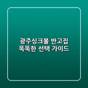 광주싱크볼 반고집: 똑똑한 선택 가이드