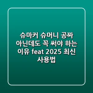 슈마커 슈머니, 공짜 아닌데도 꼭 써야 하는 이유 (feat. 2025 최신 사용법)