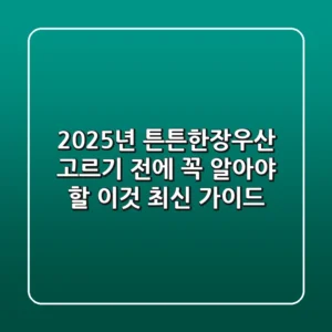 2025년 튼튼한장우산, 고르기 전에 꼭 알아야 할 '이것' (최신 가이드)