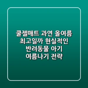쿨젤매트, 과연 올여름 최고일까? 현실적인 반려동물 & 아기 여름나기 전략