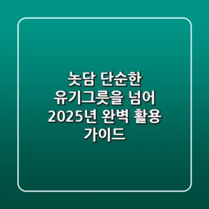 놋담, 단순한 유기그릇을 넘어: 2025년 완벽 활용 가이드