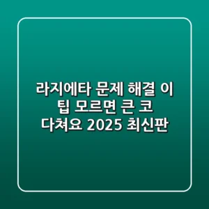 라지에타 문제 해결, 이 팁 모르면 큰 코 다쳐요! (2025 최신판)
