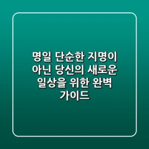 명일, 단순한 지명이 아닌 당신의 새로운 일상을 위한 완벽 가이드