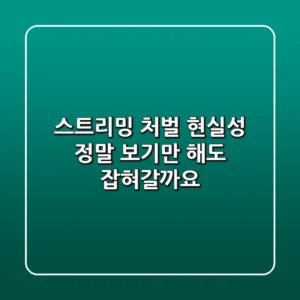 스트리밍 처벌 현실성: 정말 보기만 해도 잡혀갈까요?