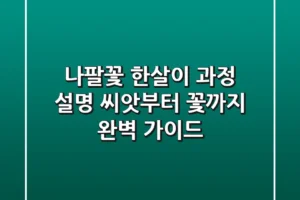 나팔꽃 한살이 과정 설명: 씨앗부터 꽃까지 완벽 가이드