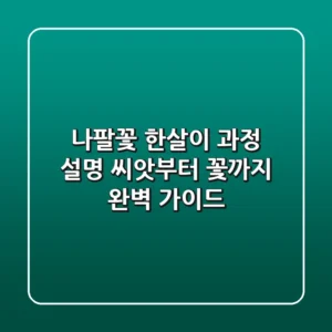 나팔꽃 한살이 과정 설명: 씨앗부터 꽃까지 완벽 가이드