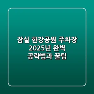 잠실 한강공원 주차장 2025년 완벽 공략법과 꿀팁
