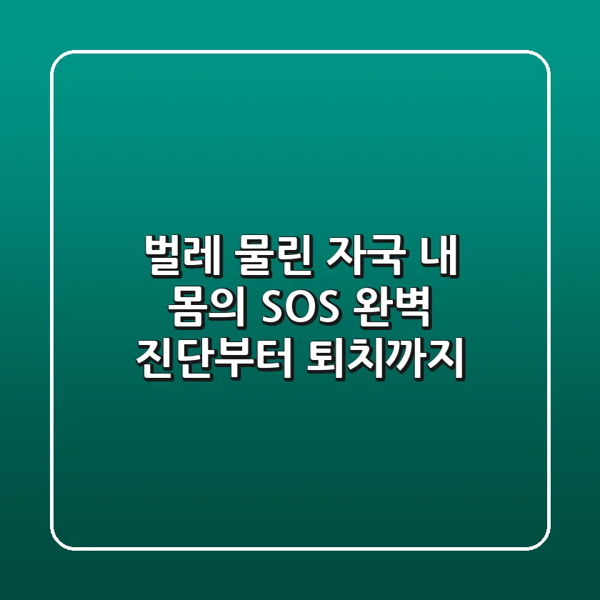 벌레 물린 자국, 내 몸의 SOS! 완벽 진단부터 퇴치까지
