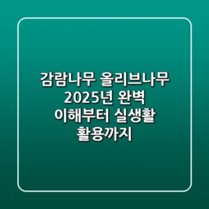 감람나무 올리브나무, 2025년 완벽 이해부터 실생활 활용까지!
