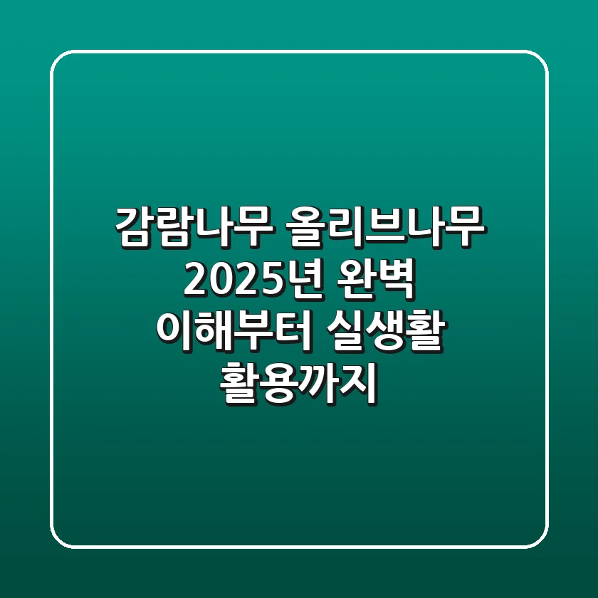감람나무 올리브나무, 2025년 완벽 이해부터 실생활 활용까지!