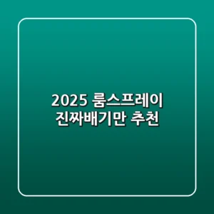 2025 룸스프레이, 진짜배기만 추천!