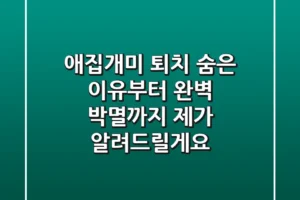애집개미 퇴치, 숨은 이유부터 완벽 박멸까지 제가 알려드릴게요