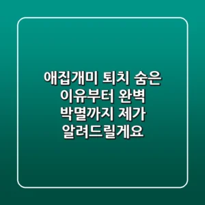 애집개미 퇴치, 숨은 이유부터 완벽 박멸까지 제가 알려드릴게요