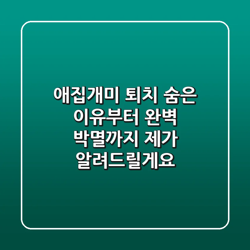 애집개미 퇴치, 숨은 이유부터 완벽 박멸까지 제가 알려드릴게요