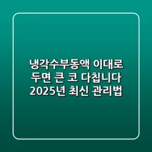 냉각수부동액, 이대로 두면 큰 코 다칩니다! 2025년 최신 관리법