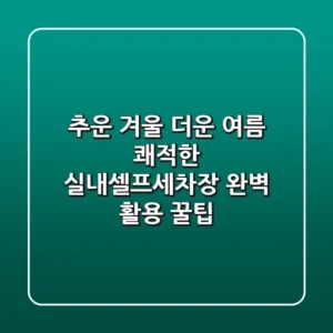 추운 겨울 더운 여름? 쾌적한 실내셀프세차장 완벽 활용 꿀팁