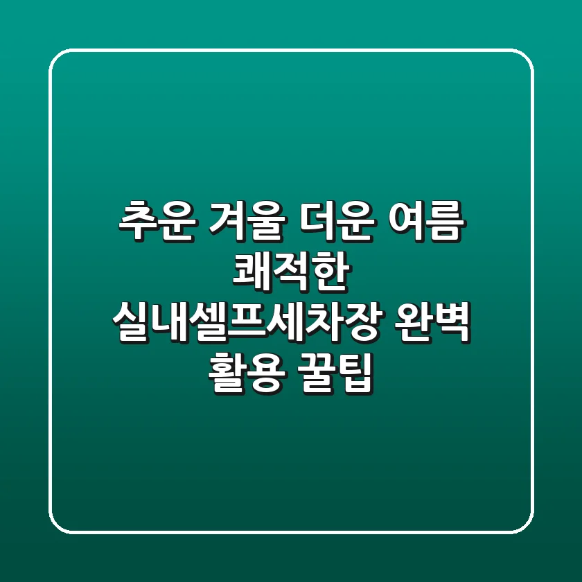 추운 겨울 더운 여름? 쾌적한 실내셀프세차장 완벽 활용 꿀팁