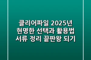 클리어파일, 2025년 현명한 선택과 활용법: 서류 정리 끝판왕 되기