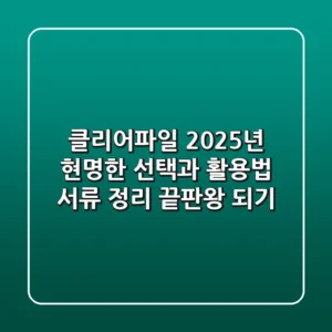 클리어파일, 2025년 현명한 선택과 활용법: 서류 정리 끝판왕 되기