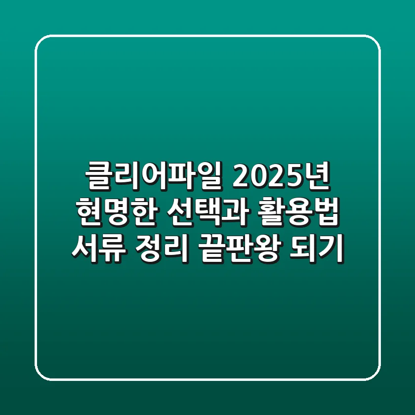 클리어파일, 2025년 현명한 선택과 활용법: 서류 정리 끝판왕 되기