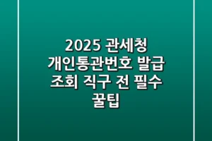 2025 관세청 개인통관번호 발급 조회: 직구 전 필수 꿀팁