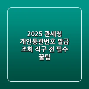 2025 관세청 개인통관번호 발급 조회: 직구 전 필수 꿀팁